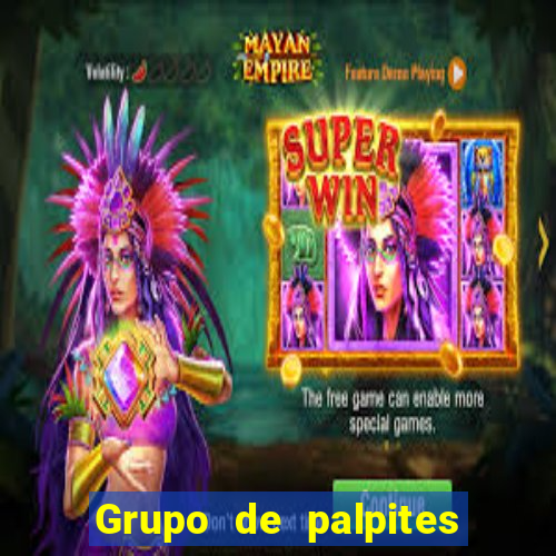 Grupo de palpites de futebol gratis